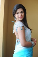 Shraddha Das Hot Saree Stills